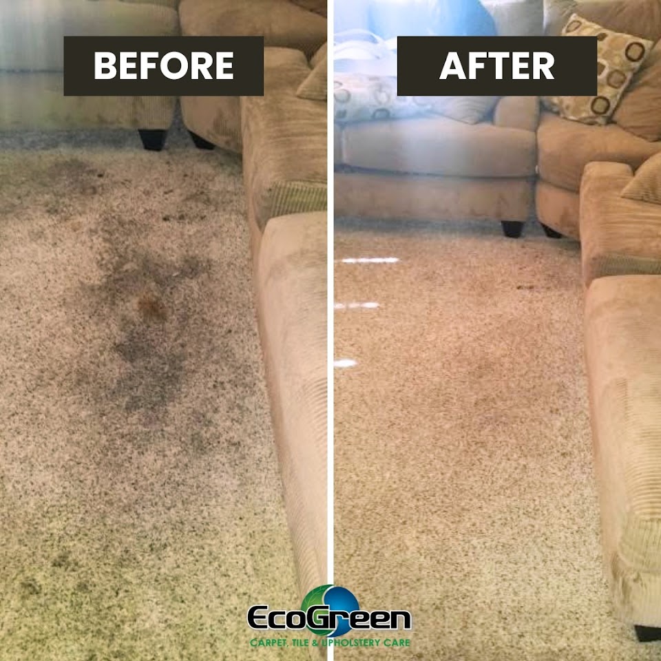 EcoGreen Carpet, Tile and Upholstery Care project