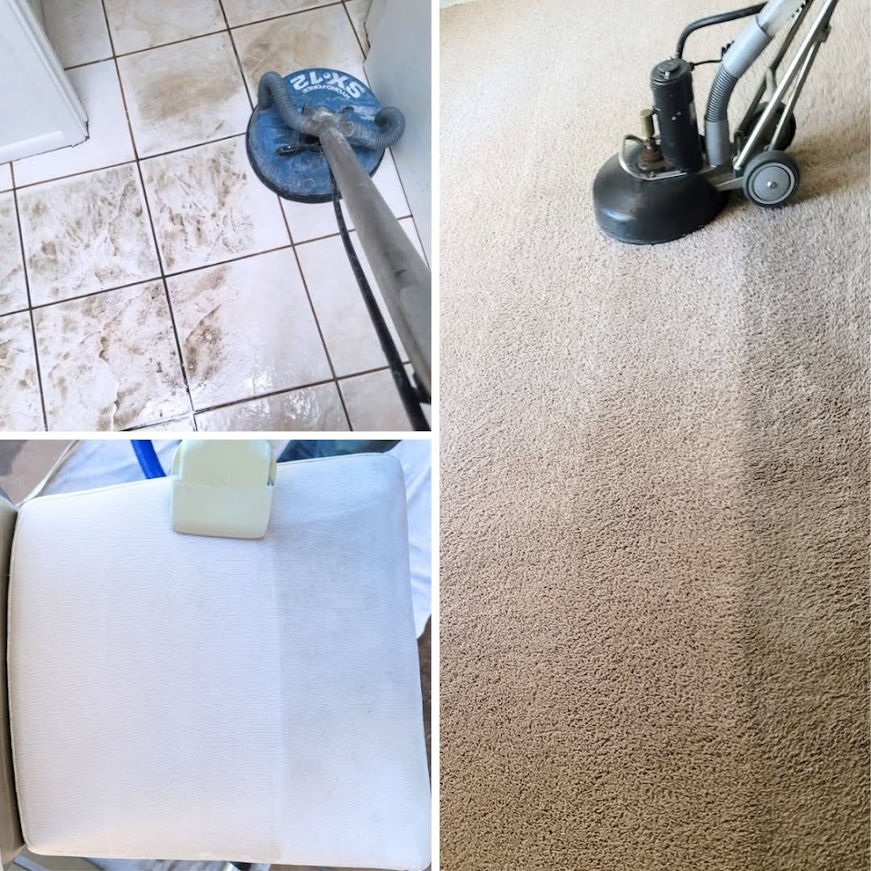 EcoGreen Carpet, Tile and Upholstery Care project
